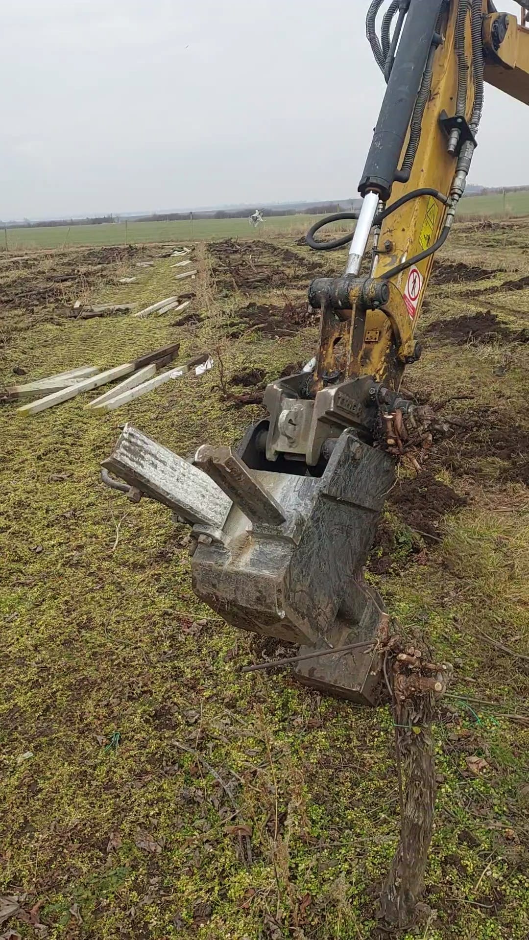 Vyklučení vinohradů